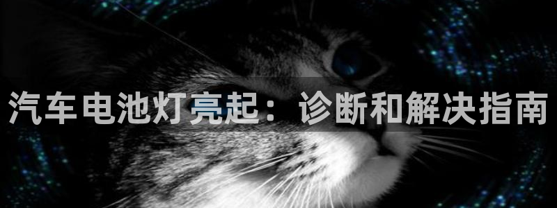 优发国际是什么