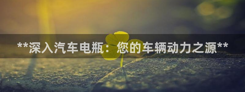 优发国际平台18岁能做吗