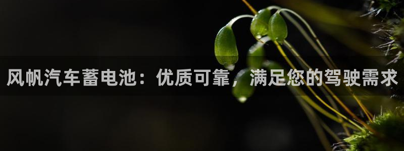 优发国际安卓版下载安装最新版