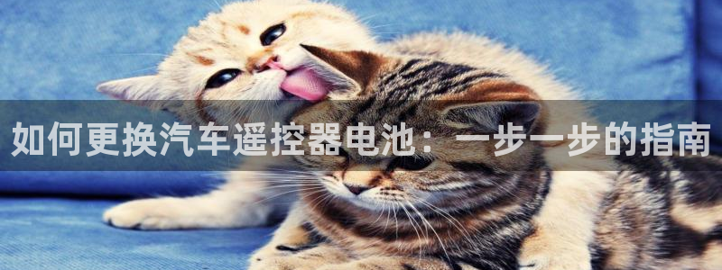 优发国际平台18