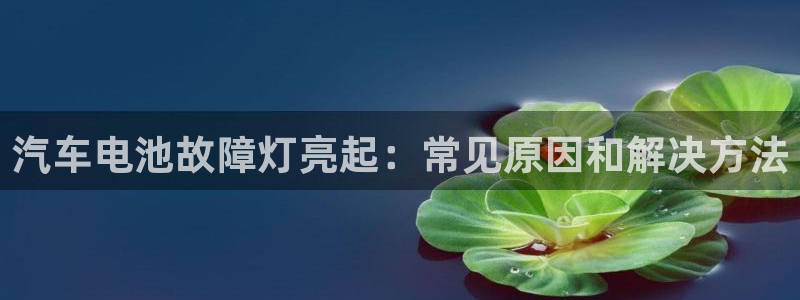 优发国际官网是多少号码