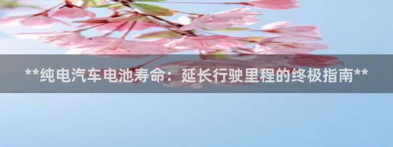 优发国际这个平台怎么样啊