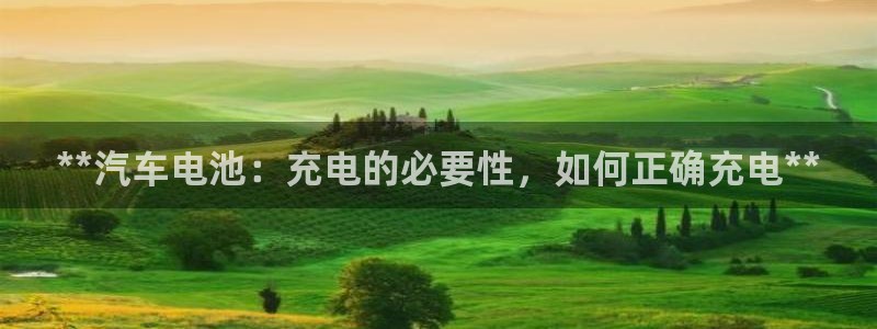 优发国际平台手机版下载