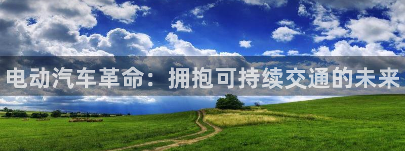 优发国际平台u8是什么公司