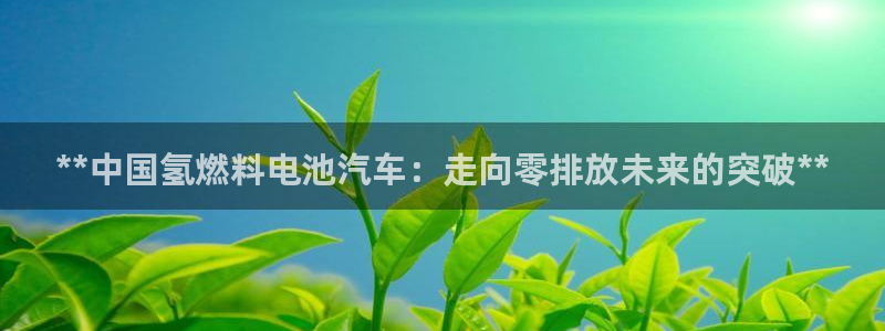 优发国际app登录：**中国氢燃料电池汽车：走向零排放未来的突破**