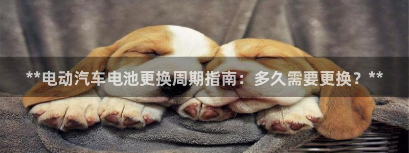 优发国际是大平台吗知乎：**电动汽车电池更换周期指南：多久需要更换？**