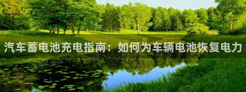 优发国际注册17：汽车蓄电池充电指南：如何为车辆电池恢复电力