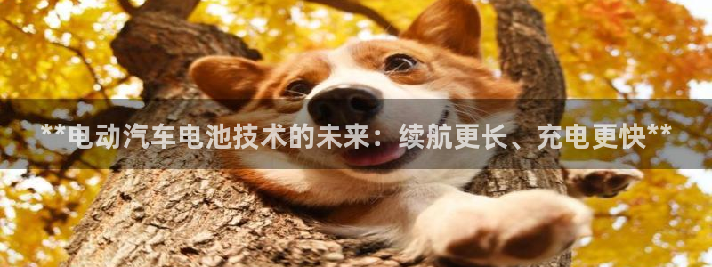 优发国际手机app下载安装最新版：**电动汽车电池技术的未来：续航更长、充电更快**
