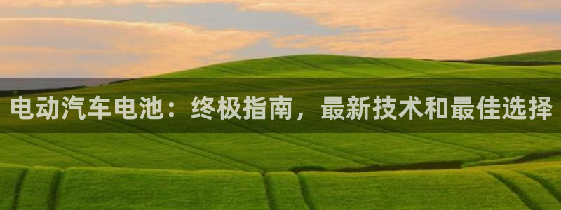 优发国际登录首页怎么设置：电动汽车电池：终极指南，最新技术和最佳选择