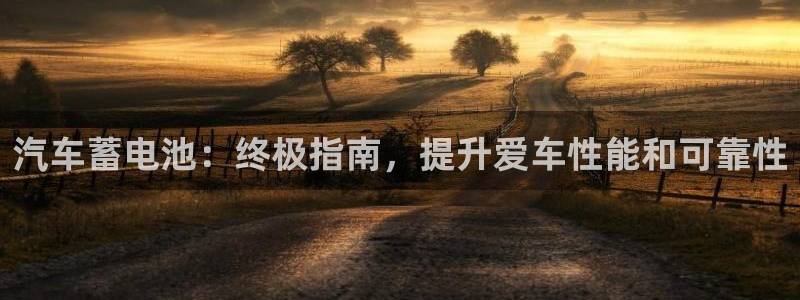 优发国际游戏官网：汽车蓄电池：终极指南，提升爱车性能和可靠性