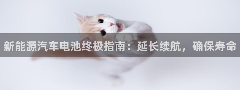 优发国际手机登录下载安装官网