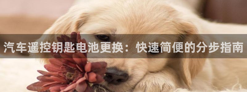 优发国际平台u8是什么软件：汽车遥控钥匙电池更换：快速简便的分步指南