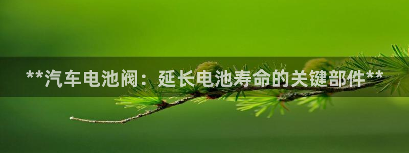 优发国际安卓版下载安装最新版：**汽车电池阀：延长电池寿命的关键部件**
