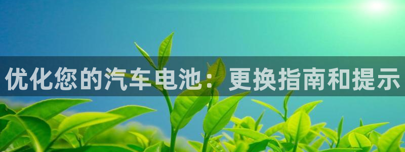 优发国际官网,首页网址：优化您的汽车电池：更换指南和提示