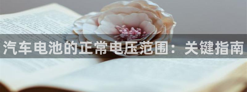 优发国际官网网站登录：汽车电池的正常电压范围：关键指南