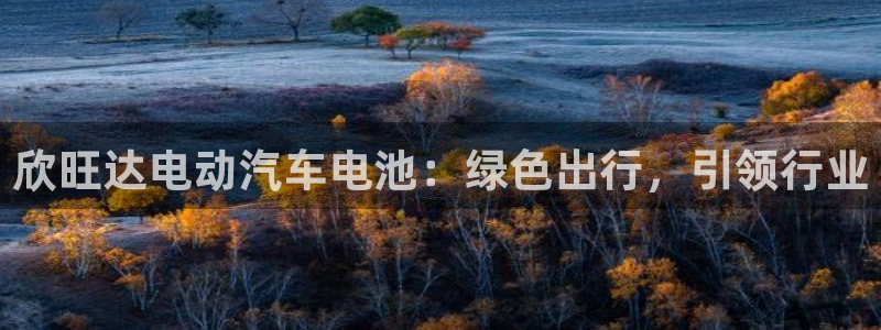 优发国际 干什么的