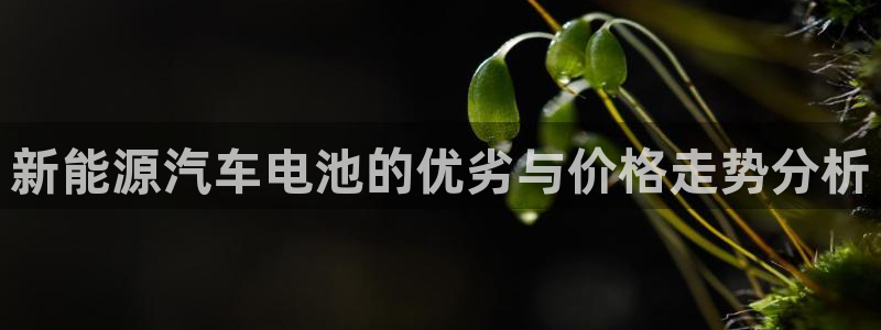 优发国际多少：新能源汽车电池的优劣与价格走势分析