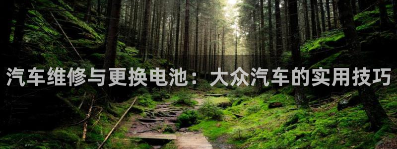 优发国际游戏官网：汽车维修与更换电池：大众汽车的实用技巧