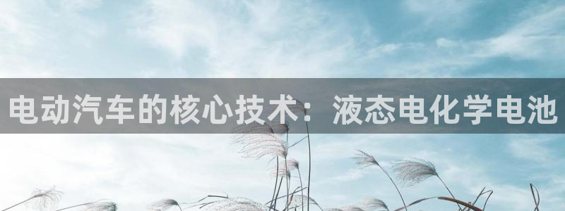 优发国际平台g8：电动汽车的核心技术：液态电化学电池