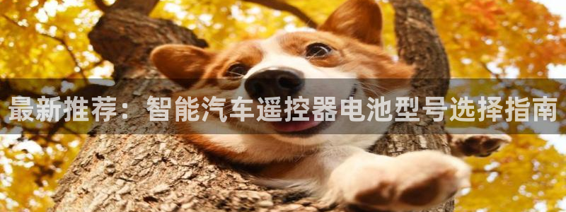 优发国际网官网17w80是什么：最新推荐：智能汽车遥控器电池型号选择指南