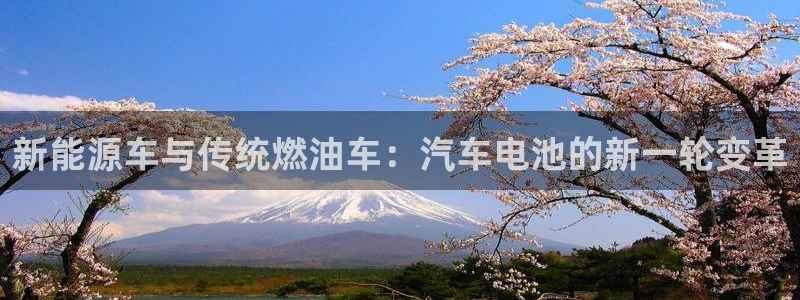 优发娱乐国际线上：新能源车与传统燃油车：汽车电池的新一轮变革