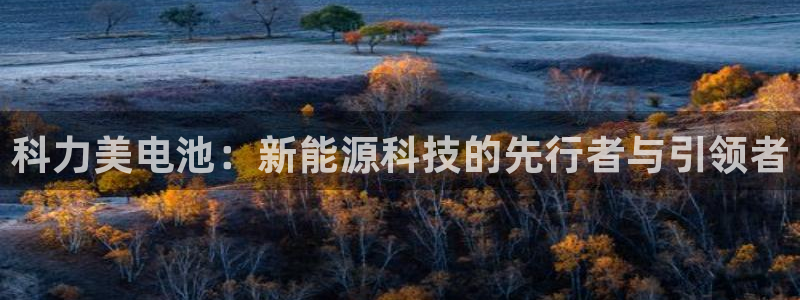 优发国际是大平台吗还是小平：科力美电池：新能源科技的先行者与引领者
