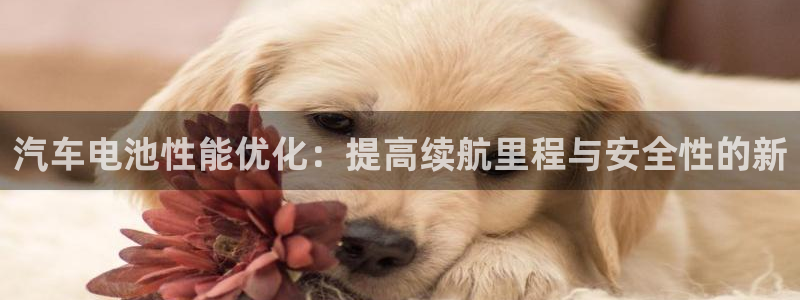 优发国际平台u8是什么公司：汽车电池性能优化：提高续航里程与安全性的新