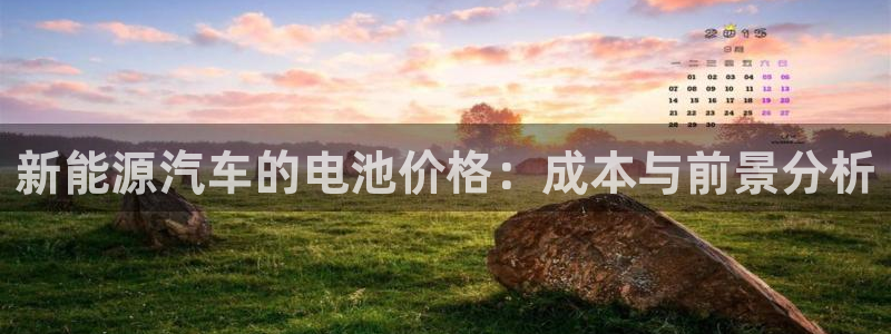 优发国际可以玩吗：新能源汽车的电池价格：成本与前景分析
