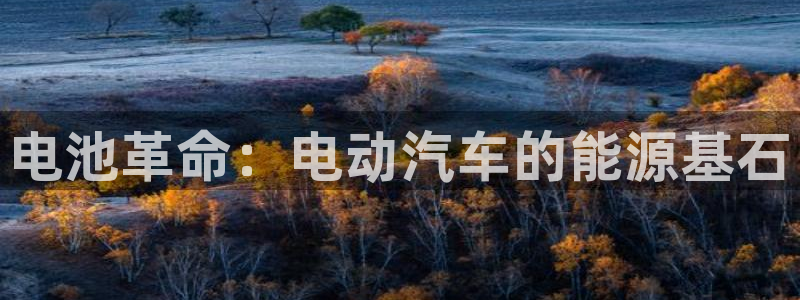优发国际bob：电池革命：电动汽车的能源基石
