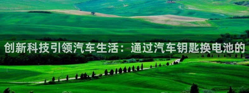 优发国际注册平台官网：创新科技引领汽车生活：通过汽车钥匙换电池的