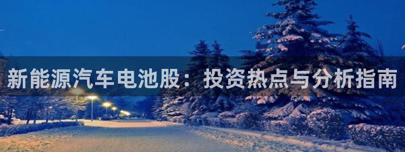 优发国际平台app下载苹果版：新能源汽车电池股：投资热点与分析指南