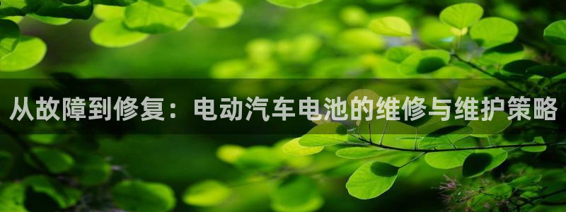 优发国际官方网平台登录：从故障到修复：电