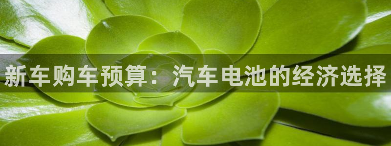 优发国际手机登录下载安装官网：新车购车预