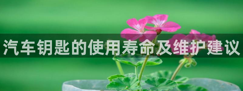 优发国际安卓版下载安装教程