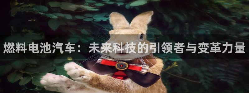 优发国际平台网站：燃料电池汽车：未来科技的引领者与变革力量