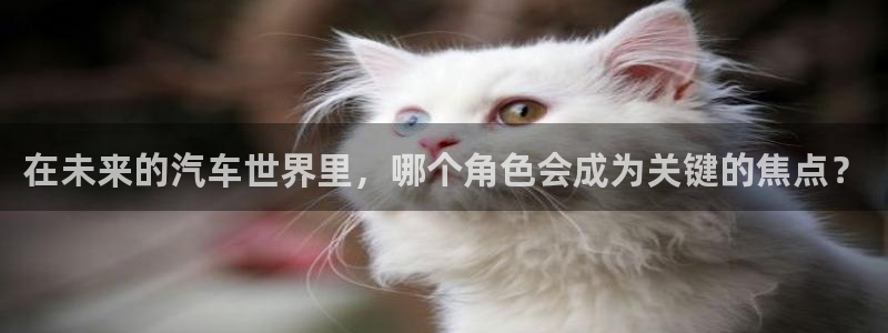 优发国际免费游戏下载