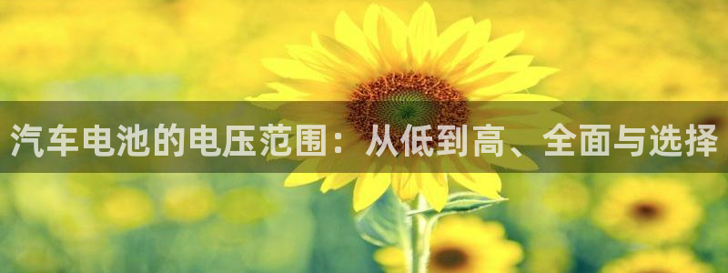 优发国际平台手机版下载官网：汽车电池的电压范围：从低到高、全面与选择