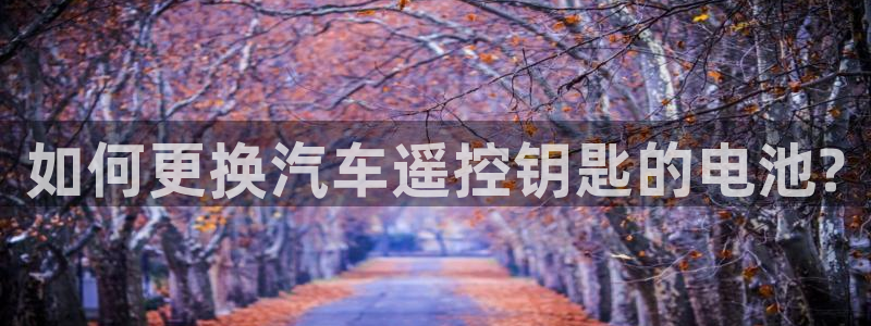优发国际官方网平台