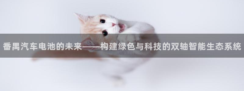 优发国际官方网平台是正品吗：番禺汽车电池