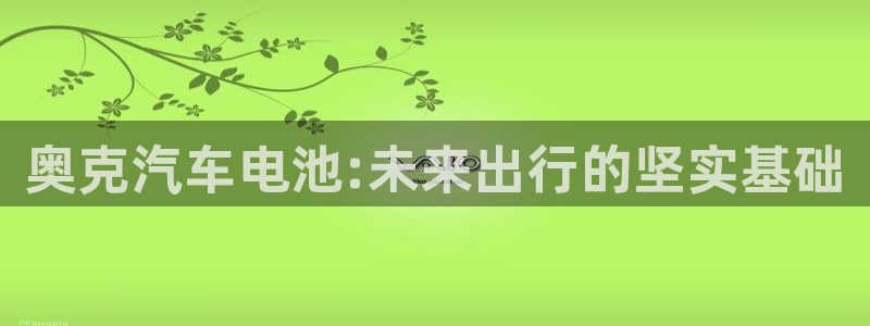 优发国际手机客户端app：奥克汽车电池: