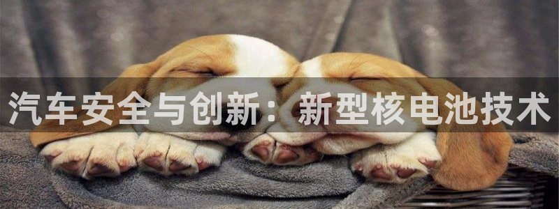 优发国际在哪里下载：汽车安全与创新：新型