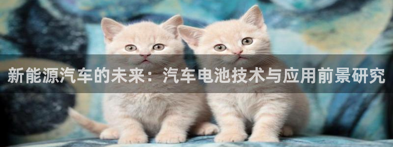 优发国际注册账号：新能源汽车的未来：汽车电池技术与应用前景研究