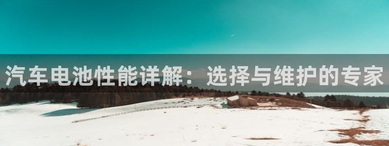 优发国际手机版下载官网：汽车电池性能详解：选择与维护的专家