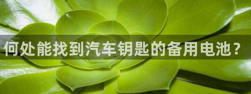 优发国际注册账号：何处能找到汽车钥匙的备用电池？