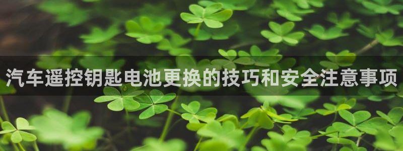 优发国际不出款：汽车遥控钥匙电池更换的技巧和安全注意事项