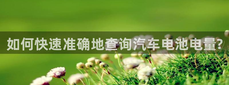 优发国际手机app下载安装最新版