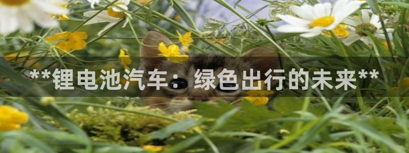 优发国际下载安装app