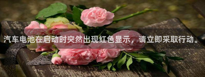 优发国际官方网手机版入口