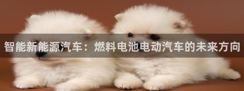 优发国际游戏官网：智能新能源汽车：燃料电