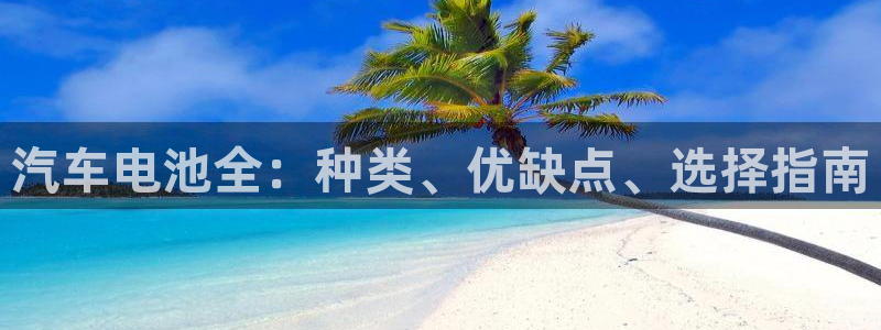 优发国际官网手机版下载安卓：汽车电池全：